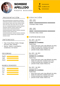 Formato de Currículum Vitae en Español